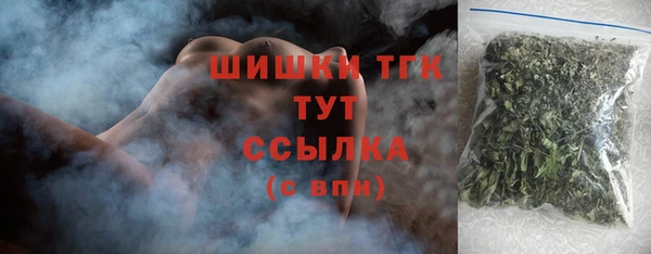 хмурый Белокуриха
