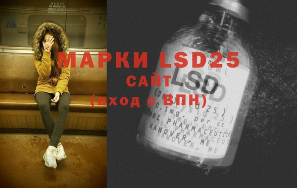 хмурый Белокуриха